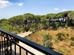 a view from a balcony of a forest with trees at Dynasty Suite in Aley