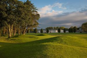a green field with a tree and some trees at Castlemartyr Resort Hotel in Cork