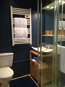 a bathroom with a toilet and a sink and a mirror at La Maison de Jeanne in Dieppe