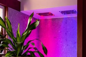 a plant in a room with a purple wall at Lamasu RioVerde - Lago di Garda in San Felice del Benaco