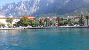 ein großer Wasserkörper mit Stadt und Bergen in der Unterkunft Apartments Viskovic in Makarska