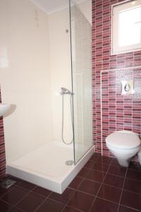 a bathroom with a shower and a toilet and a sink at Cosmos Apartments in Vasiliki