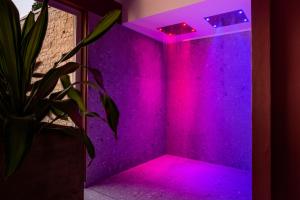 a purple room with a potted plant in it at Lamasu RioVerde - Lago di Garda in San Felice del Benaco