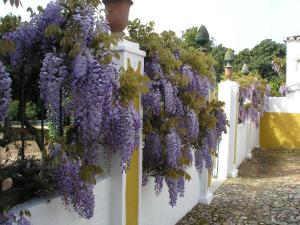 Een tuin van Hotel Rural Quinta de Santo Antonio