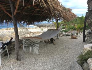 a hammock on a beach with two cats laying on the ground at Forever Cottage in Robins Bay