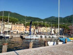 a bunch of boats are docked in a harbor at Casa Francesca in Gargnano