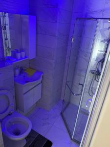 Koupelna v ubytování Apartments Divoli