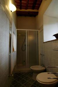 uma casa de banho com um chuveiro, um WC e um lavatório. em Agriturismo Villalba em Arezzo