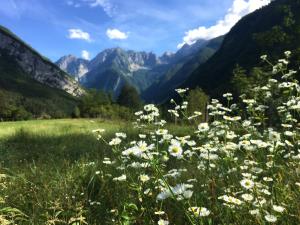 Gallery image of Hiša Patricija in Soča +21 photos