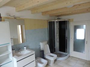 La salle de bains est pourvue de toilettes, d'une douche et d'un lavabo. dans l'établissement Casa Rossa, à Pianzano