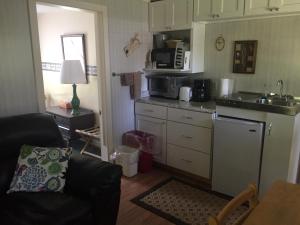 eine kleine Küche mit einer Spüle und einer Arbeitsplatte in der Unterkunft Rock Ledge Motel in Alexandria Bay