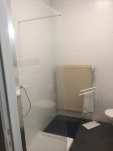a bathroom with a shower and a toilet at ‘t Ziltebos in Wenduine