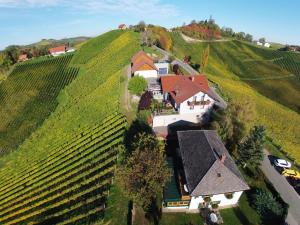 Pohľad z vtáčej perspektívy na ubytovanie Familienweingut Oberer Germuth