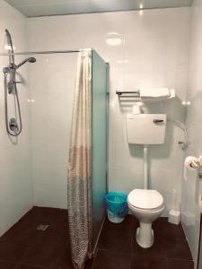 a bathroom with a toilet and a shower at Ashel Hotel in Beer Sheva