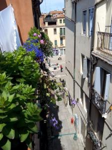 ヴェネツィアにあるCa' San Silvestro 2 terrazze nel cuore di Veneziaの建物脇の花々の小路