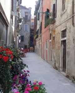 ヴェネツィアにあるCa' San Silvestro 2 terrazze nel cuore di Veneziaの古い建物の花の空き路地