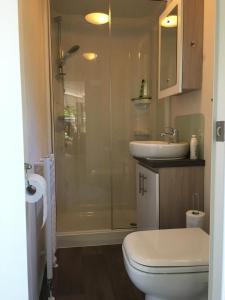 een badkamer met een douche, een toilet en een wastafel bij Norah in Nunspeet