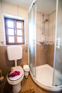 a bathroom with a toilet and a shower and a tub at Sleme house in Krška Vas