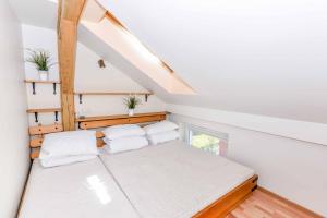 Billede fra billedgalleriet på Apartamentai NEMUNAS i Pervalka