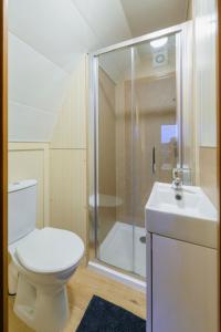 a bathroom with a toilet and a shower and a sink at Farmyard Lane Glamping in Killarney