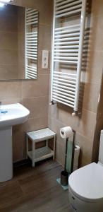 a bathroom with a sink and a toilet and a window at LAIA HOME GARAJE Y WIFI in Barakaldo