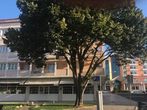 a tree in front of a large building at Atlantic Waves Accommodation in Carcavelos