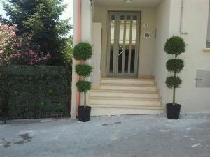 a house with two potted plants in front of a door at B&B D'Amare in San Salvo