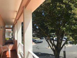 a tree on the side of a building next to a street at Atlantic Waves Accommodation in Carcavelos