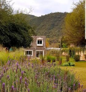 een huis met een bloemenveld ervoor bij LA MACARENA in La Rioja