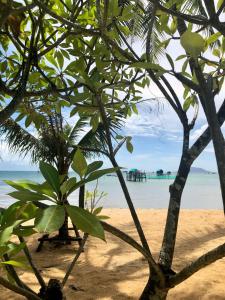 a view of the beach from behind some trees at Peppercorn Beach Resort in Phú Quốc