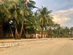 a row of palm trees on a sandy beach at Peppercorn Beach Resort in Phu Quoc