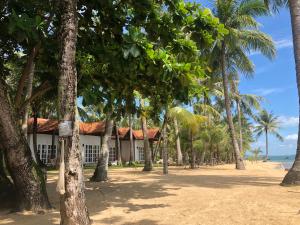 a house on the beach with palm trees at Peppercorn Beach Resort in Phú Quốc