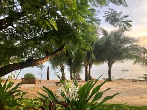a park with a bench and palm trees on the beach at Peppercorn Beach Resort in Phú Quốc