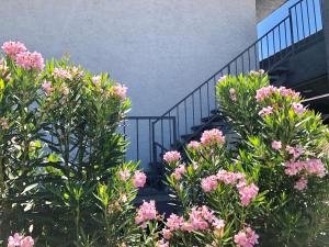 a staircase with pink flowers in front of a building at Siegel Slots and Suites (No Resort Fees) in Las Vegas