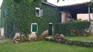 an ivy covered house with a yard at Old house Nilovic in Livari