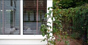 a house with a window with a vine at The Tudor Hotel in Harrow