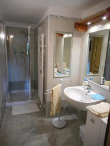 un baño con ducha y lavabo en La Luge, en Saint-Christophe