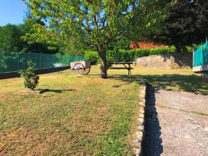 Zahrada ubytování Nidi del faggio rosso - Family Holiday Home