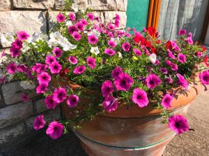 Zahrada ubytování Nidi del faggio rosso - Family Holiday Home