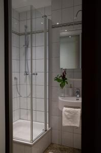 a bathroom with a shower and a sink at historic Apart in Erlangen