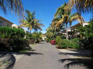 a walkway with palm trees and bushes and buildings at Le Palmier - 4 bedrooms BeachFront villa - Gated Complex in Flic-en-Flac