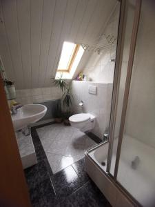 La salle de bains est pourvue de toilettes, d'un lavabo et d'une douche. dans l'établissement Apartment Am Horstberg, à Wernigerode