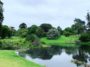 vistas a un parque con un estanque y árboles en Bradman Modern Style a Walk to MCG, Swan St, CBD, en Melbourne