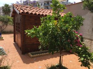 Vonkajšia záhrada v ubytovaní Fantastico bajo con Jardin en Playa de Canet