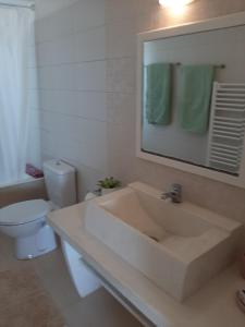 a bathroom with a sink and a toilet and a mirror at Flowerhouse in Porto Heli +30 photos