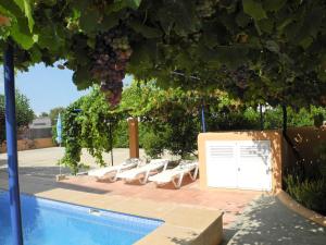 una piscina con tumbonas y un montón de uvas en Apartamentos Timon - Emar Hotels, en Es Pujols