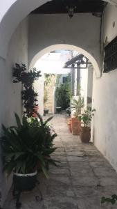 une arche avec des plantes en pot dans une cour dans l'établissement MARIÑIGUEZ APARTAMENT., à Jerez de la Frontera