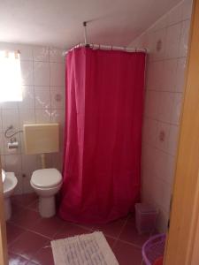 a bathroom with a pink shower curtain and a toilet at Apartment House Aria in Baška Voda