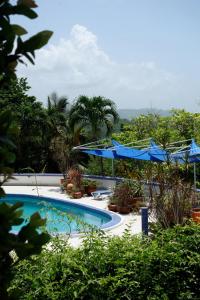 Gallery image of Hotel Mockingbird Hill in Port Antonio