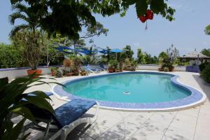 Gallery image of Hotel Mockingbird Hill in Port Antonio